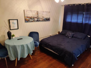 Comfortable bachelor suite steps from Downtown